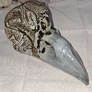 Picture Jasper Bird Skull